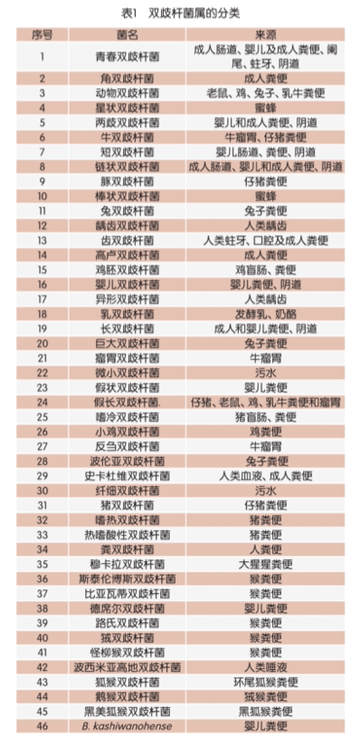 双歧杆菌属分类