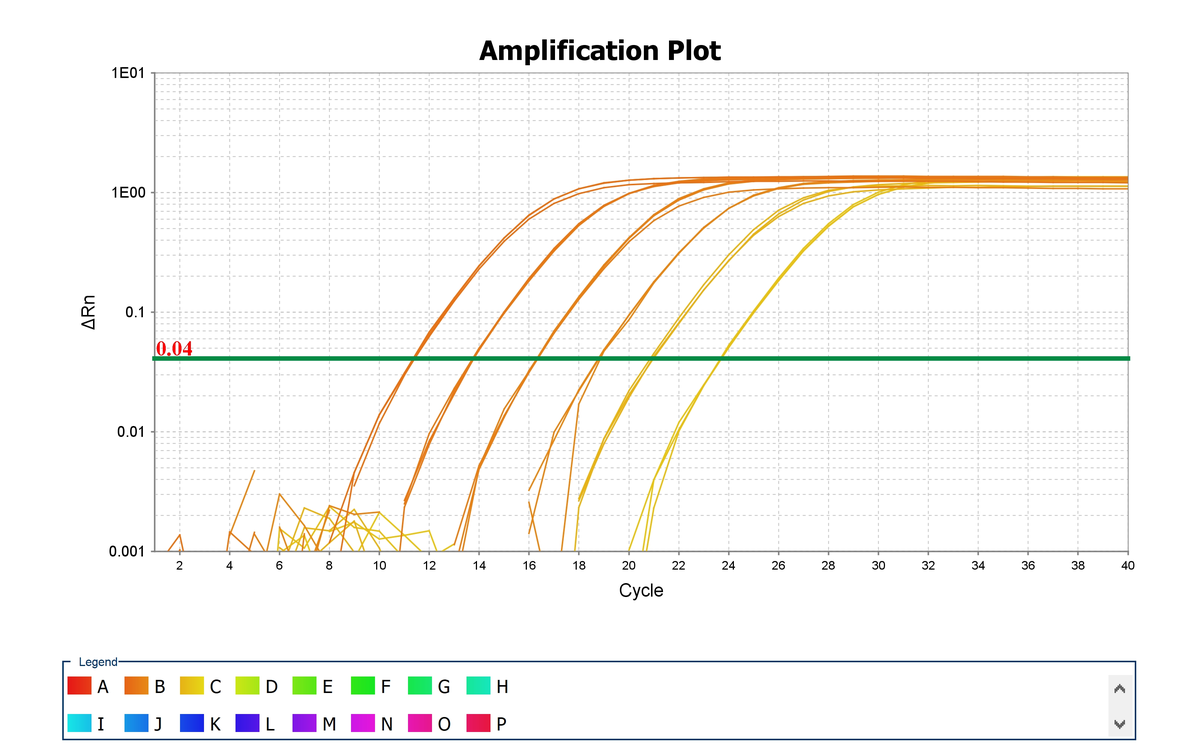 qPCR 扩增曲线