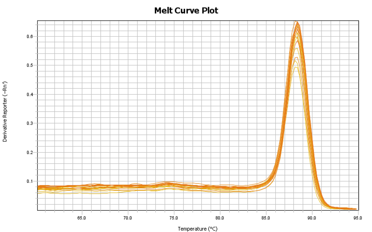 qPCR 熔解曲线
